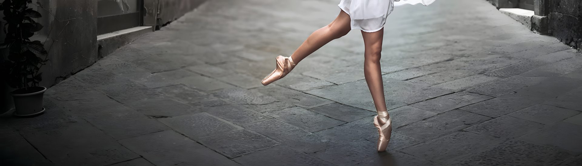 Slider_1920x550px
